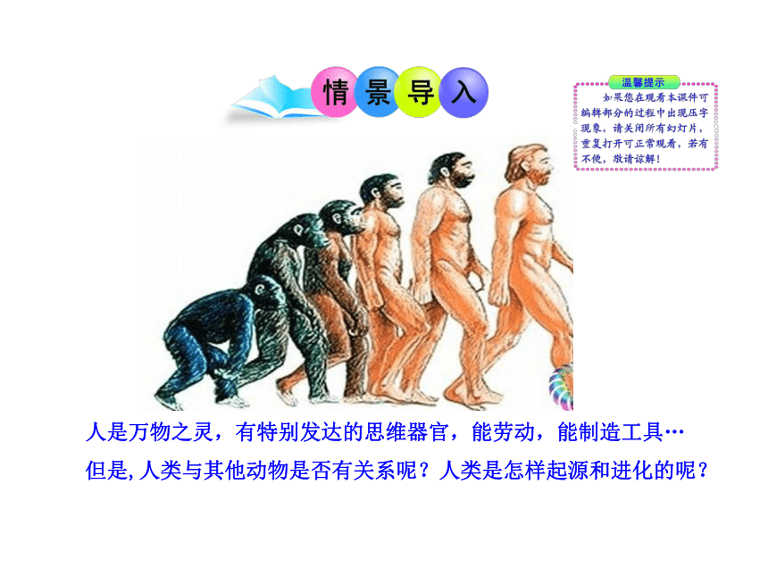 第21章 第3节  人类的起源与进化（北师大版八年级下）