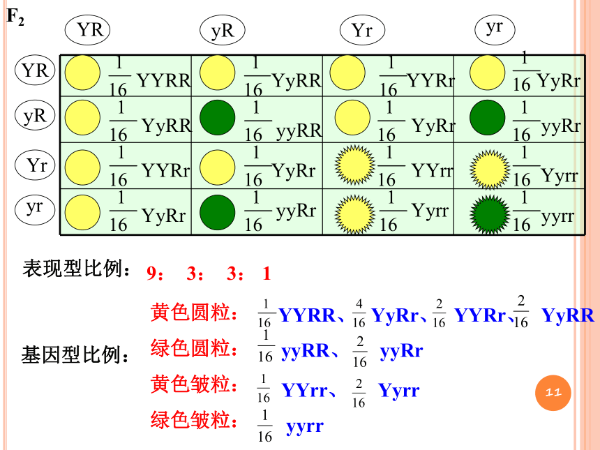 2020-2021学年高一下学期生物人教版必修2遗传与进化总复习课件 （86张ppt）