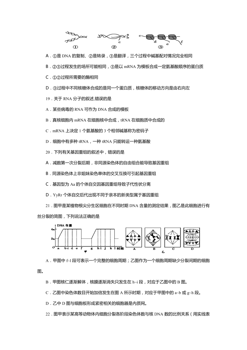 四川省资阳市2016-2017学年高一下学期期末考试生物试卷