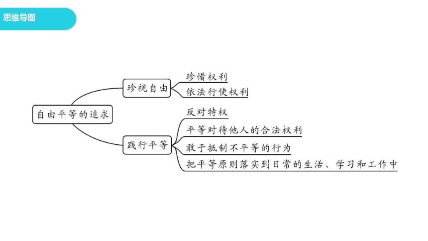 尊重自由平等思维导图图片