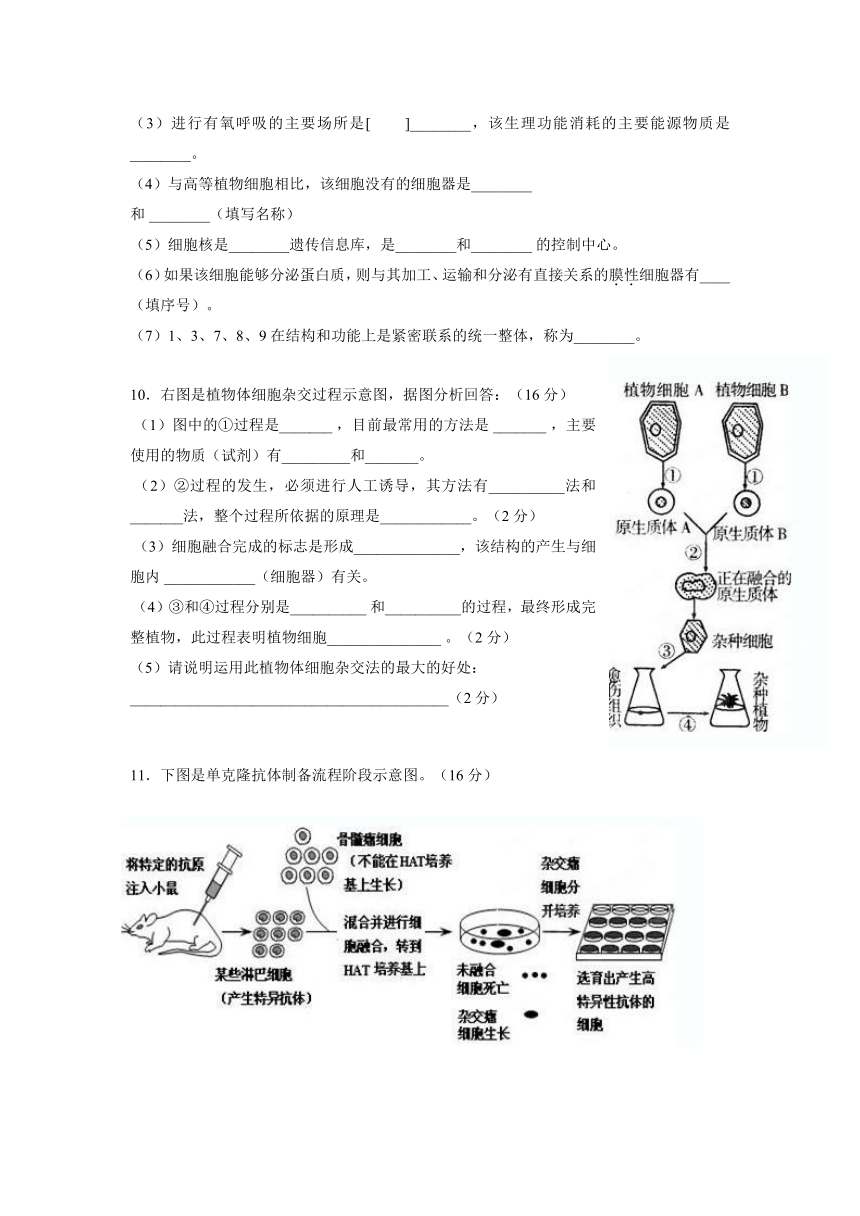 广东省东莞市第七高级中学2012-2013学年高二5月月考生物试题