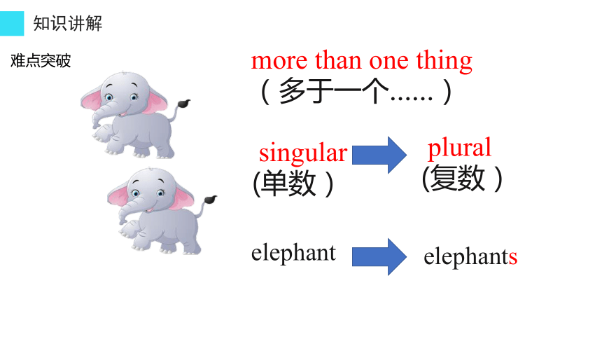 unit5lesson29thepluralsofnouns名词复数课件共26张ppt