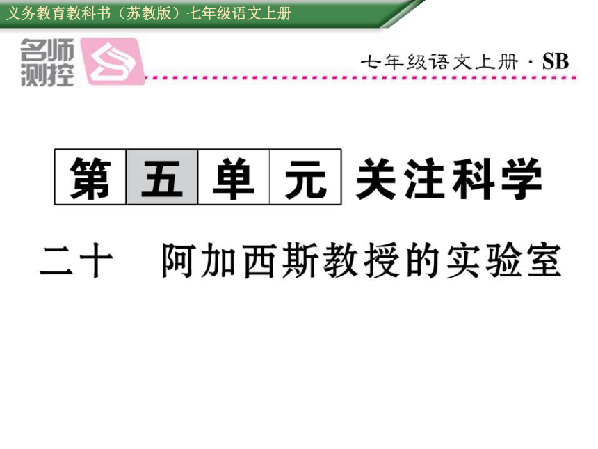 课件预览