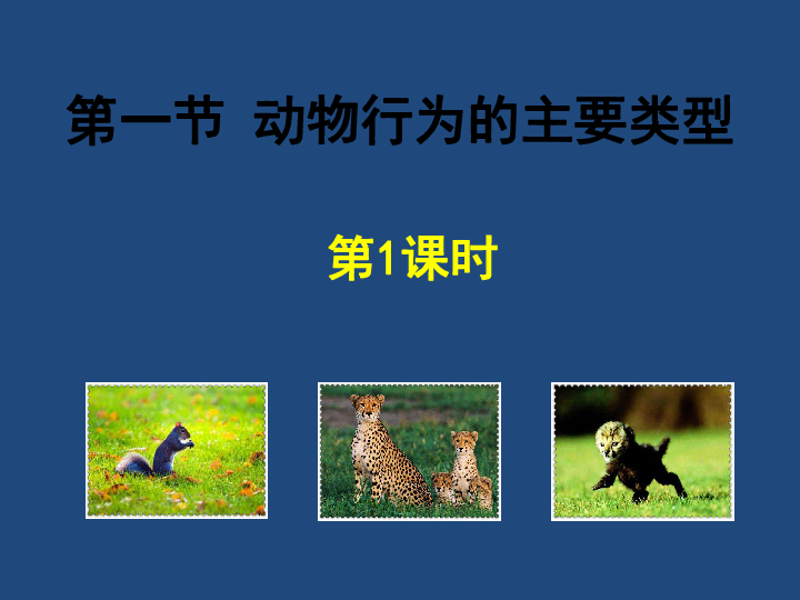 苏教版八上生物 18.1 动物行为的主要类型(第1课时）课件（共31张PPT）
