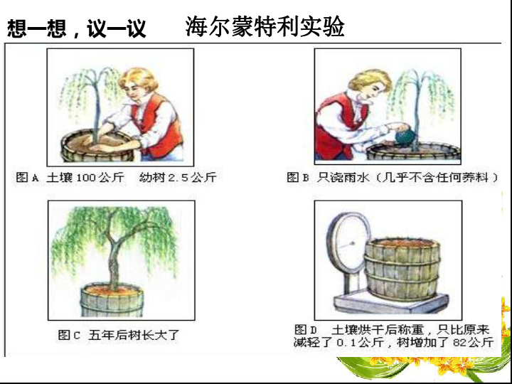 七年级生物上册 3.5.1光合作用吸收二氧化碳释放氧气  课件(共25张PPT)