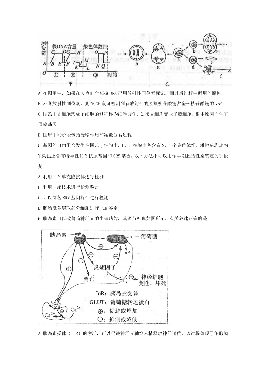 天津市河东区2018年高考一模生物试卷