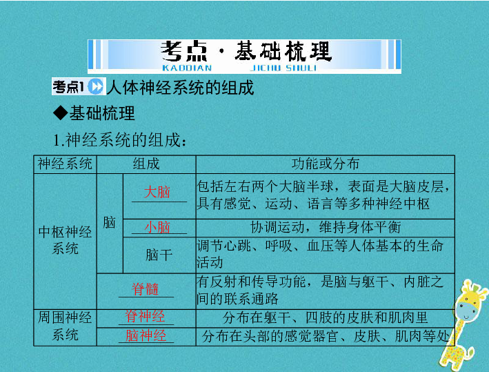 人体的生命活动调节课件（32张PPT）