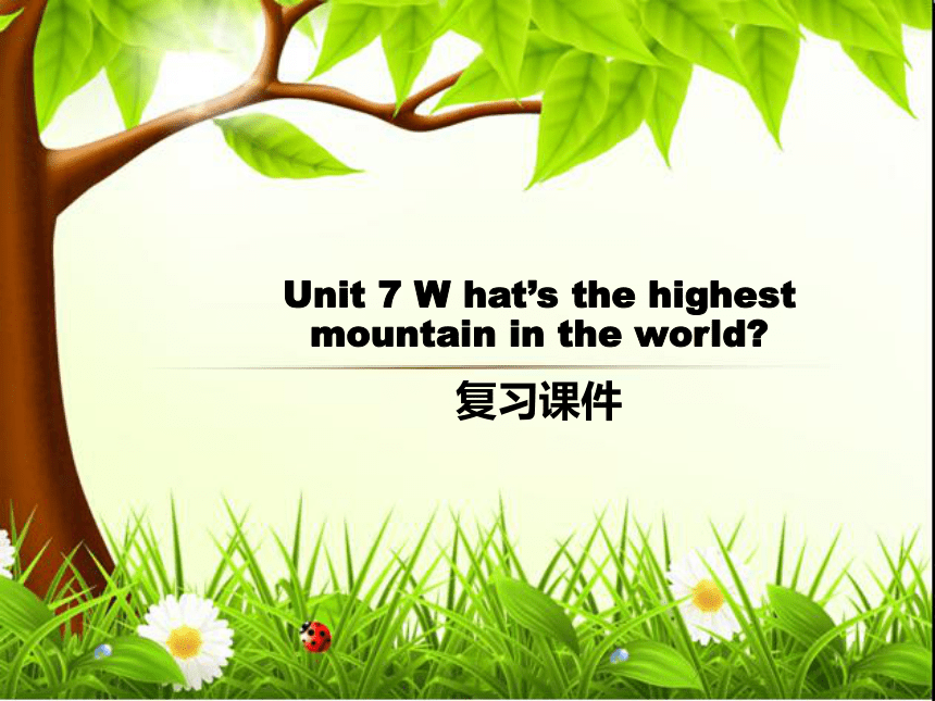 Unit 7 What’s the highest mountain in the world? 单元复习课件