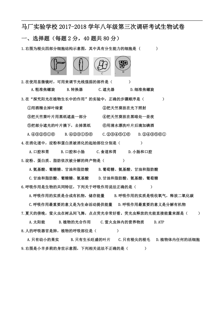 江苏省沭阳县马厂实验学校2017-2018学年八年级第三次调研考试生物试卷