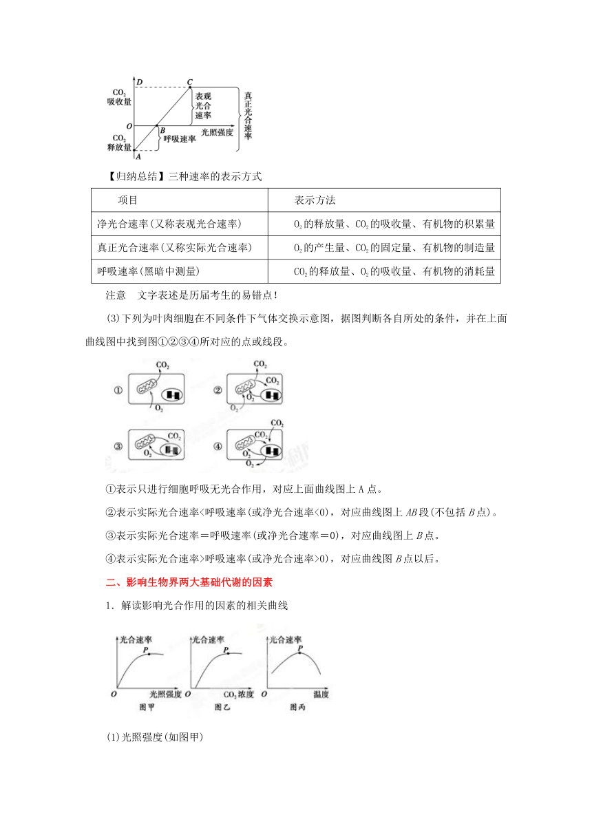 专题05 细胞呼吸与光合作用-2014年高考生物考纲解读及热点难点试题演练 Word版含解析