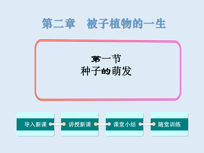 人教版七年级生物 上册 第三单元 第二章 第一节 种子的萌发 课件（共42张PPT）