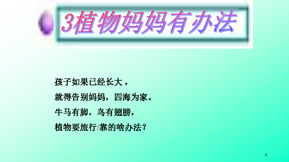 3 植物妈妈有办法  课件(共20张PPT)