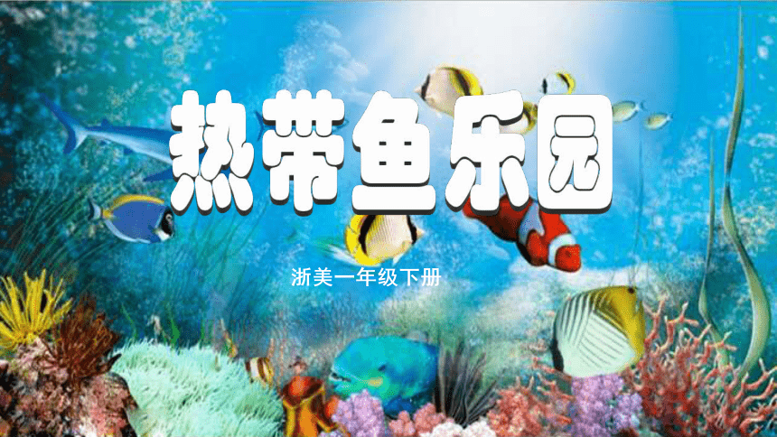 15 热带鱼乐园 课件 (2)