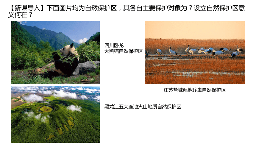 2.2自然保护区与生态安全课件（22张PPT）