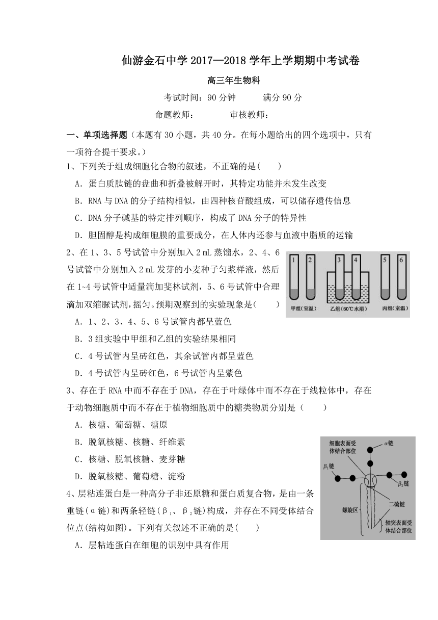 福建省仙游金石中学2018届高三上学期期中考试生物试卷