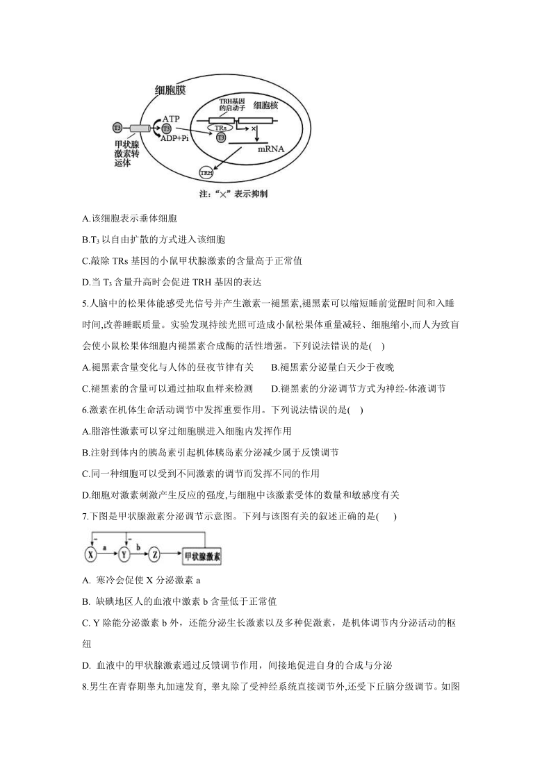 （人教版2019）山东省济南市2020-2021学年高二生物寒假必做作业（4）       （ 解析版）