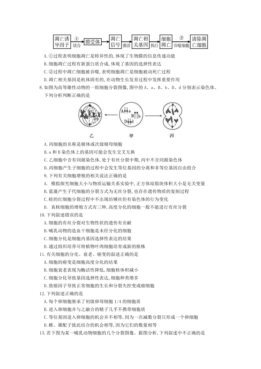 广东省深圳市宝安中学2016-2017学年高一下学期期中考试生物试题