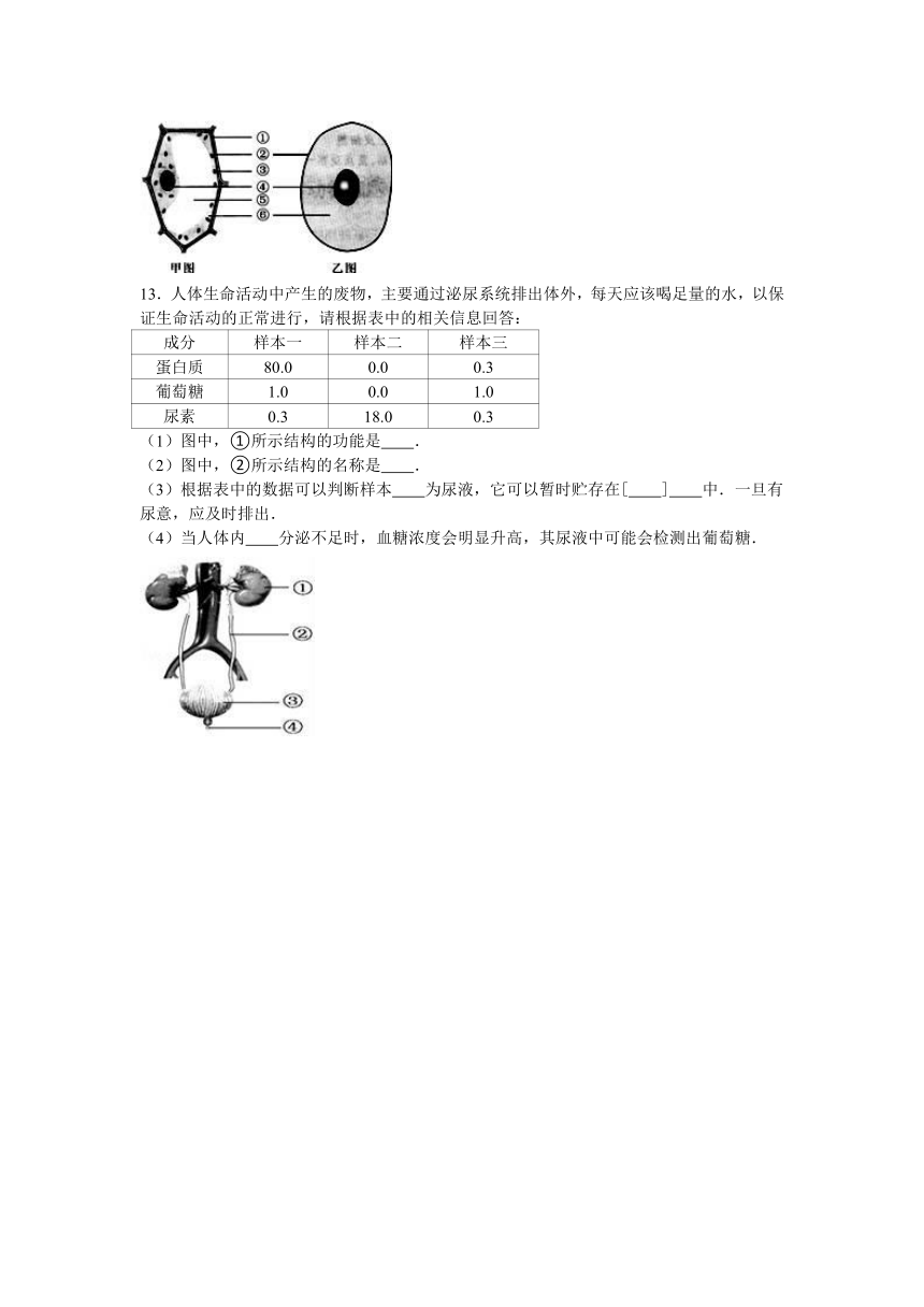 甘肃省白银市会宁县会师中学2017届九年级（上）期中生物试卷（解析版）