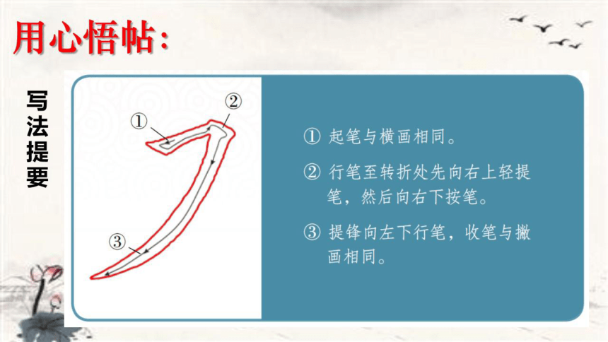 苏教版 三年级下册书法 12.横撇 课件（19张PPT）