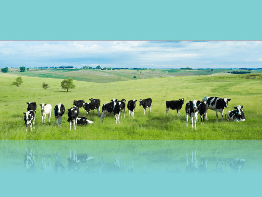 吉林省辽源普中 必修2 第三章第三节以畜牧业为主的农业地域类型 课件