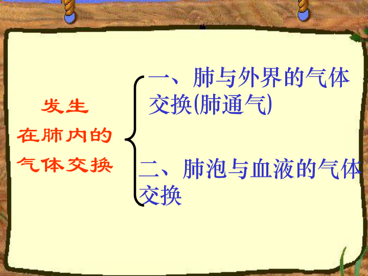 北京版七下生物  6.1.2 人的呼吸 37张PPT