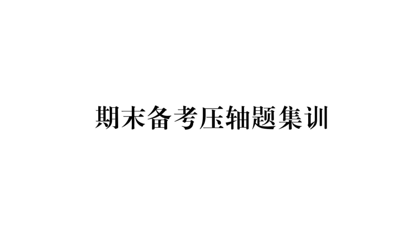 部编人教版道德与法治八年级下册期末备考压轴题集训课件  图片版（22张ppt)