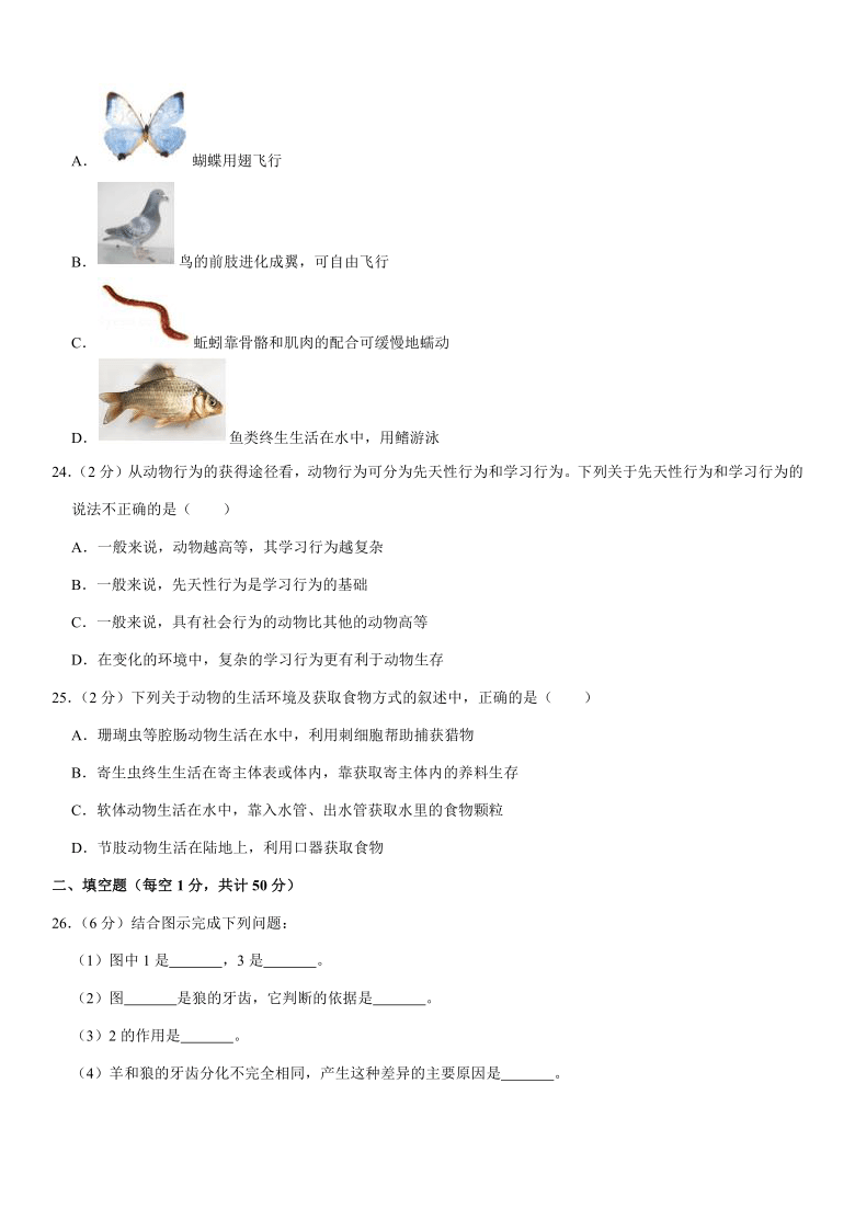 2019-2020学年内蒙古通辽市霍林郭勒五中八年级（上）期中生物试卷（含解析）