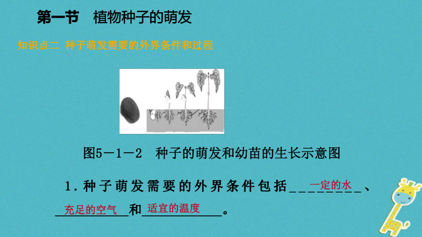 植物种子的萌发课件(17张PPT)