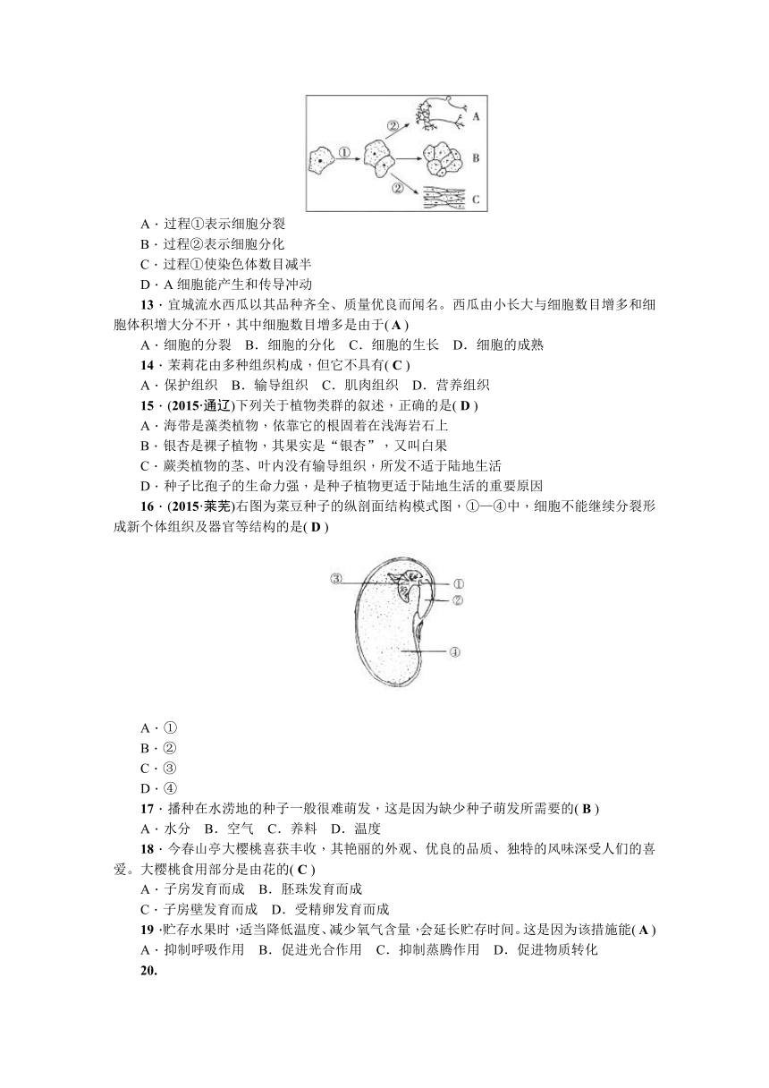 2017—2018学年生物（人教版）七年级上册测试题期末测试题