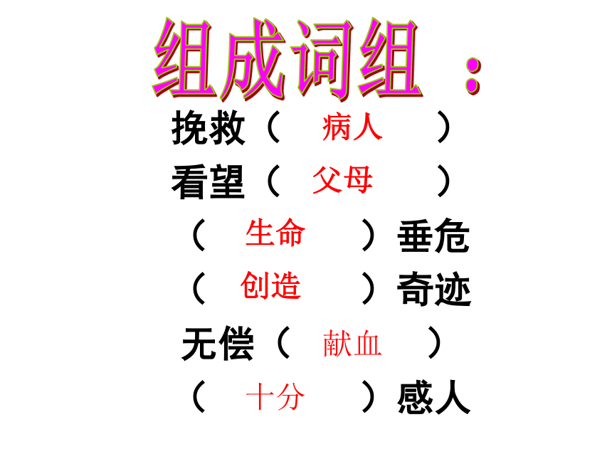 语文八年级下新教版（汉语）12《姐弟情深》课件（28张）