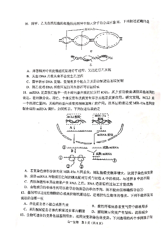 河南省平顶山市2018-2019学年高一下学期期末调研考试生物试题 扫描版