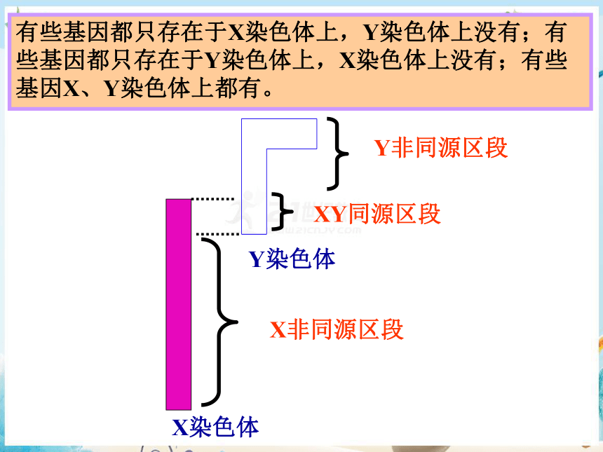 2.3.1人类红绿色盲症、伴性遗传的特点（共19张PPT）