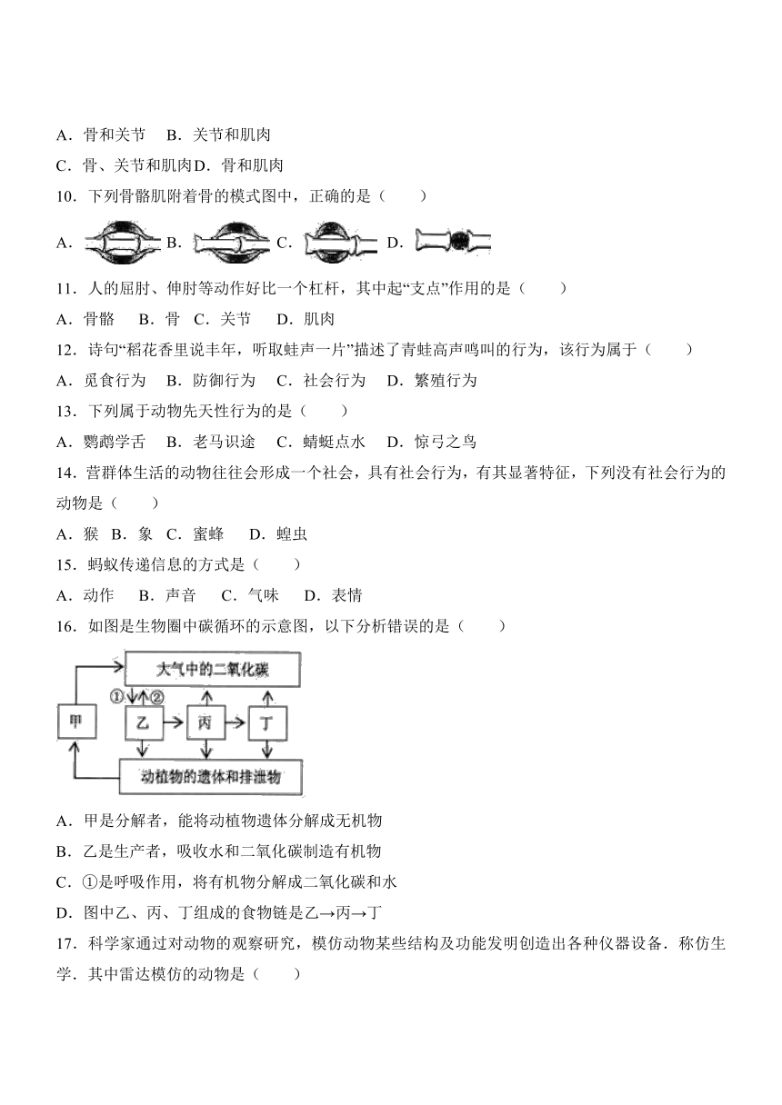 云南省昆明市官渡区2016-2017学年八年级（上）期末生物试卷(解析版)