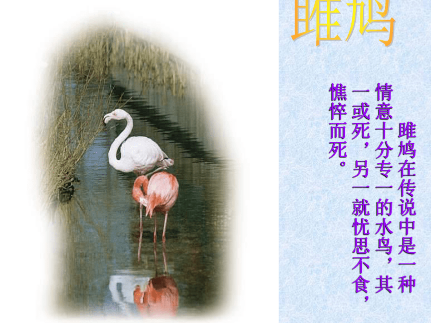 《诗经》两首