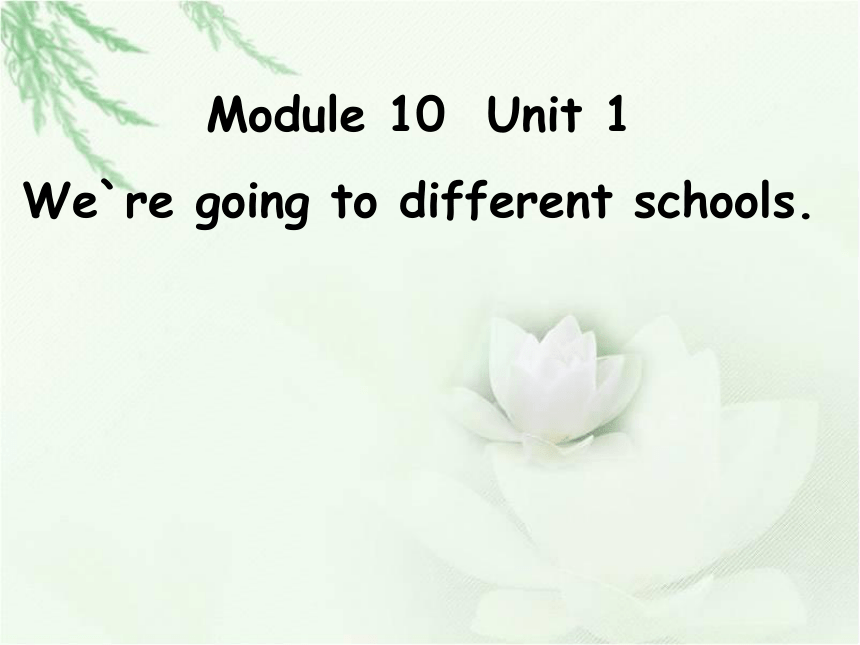 Unit 1 We are going to different schools 课件