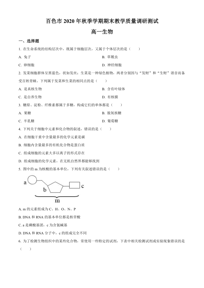 广西百色市2020-2021学年高一上学期期末教学质量调研测试生物试题     含答案