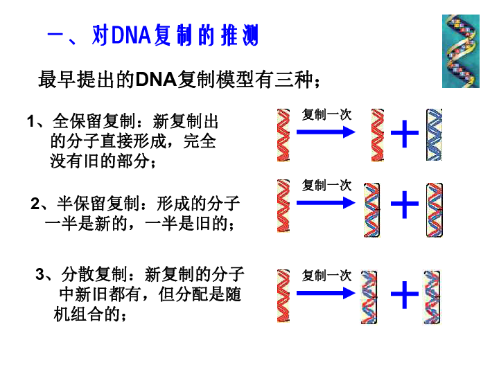 人教版高中生物必修二 第三章 第三节 DNA的复制（共40张PPT）