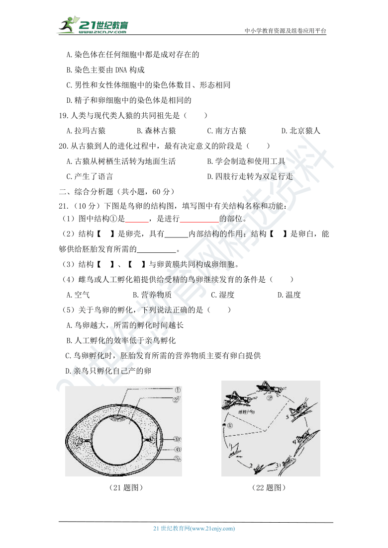 冀教版生物八下期中测试题（含答案）