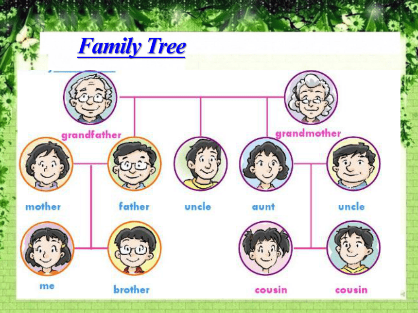 Lesson 2 My family tree 课件