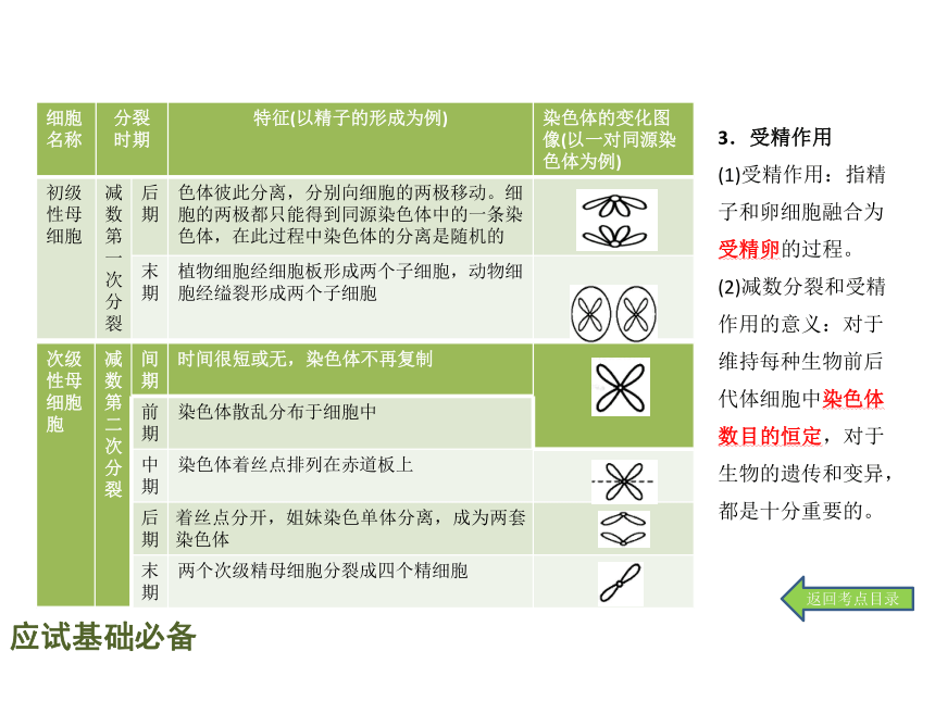 【理想树600分考点 700分考法】 2016届高考生物专题复习课件：专题6   遗传的细胞学基础（共22张PPT）