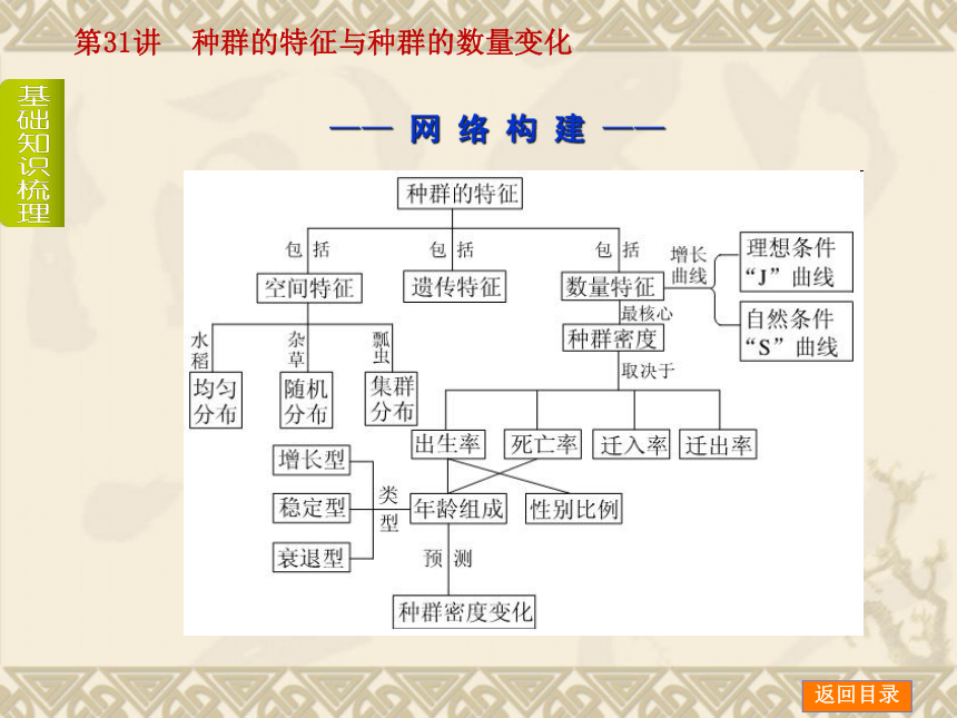 【新课标人教通用，一轮基础查漏补缺】第31讲　种群的特征与种群的数量变化 （56ppt）