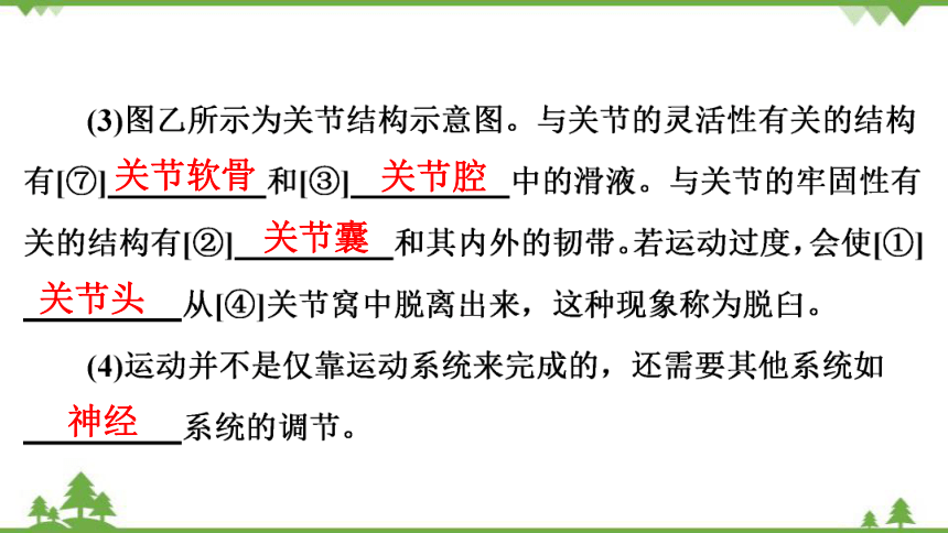 肌肉和關節翼8肱二頭肌6關節囊2哺乳胎生遺傳物質先天性鰭游泳老虎魚