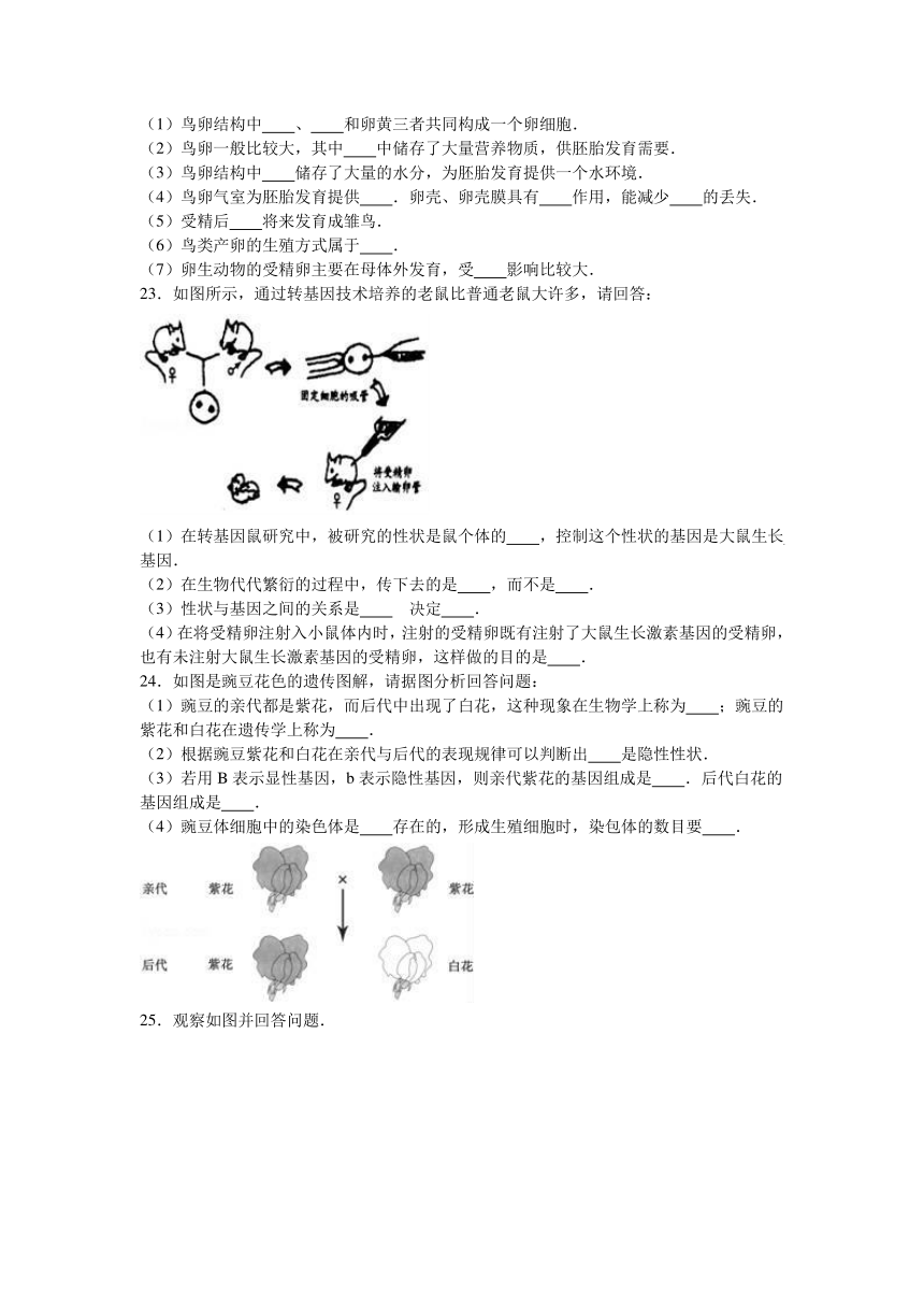 内蒙古鄂尔多斯市鄂托克旗2016-2017学年八年级（上）期末生物试卷（解析版）