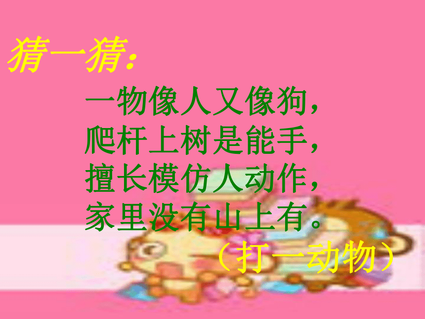语文八年级下新教版（汉语）13《雪猴》课件（33张）