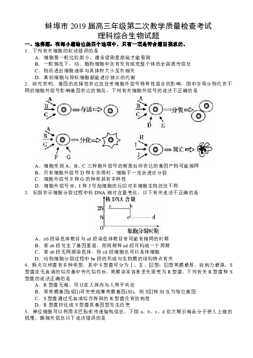 安徽省蚌埠市2019届高三第二次教学质量检测考试生物试题