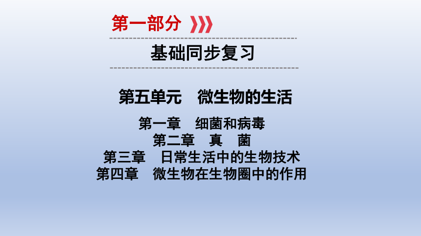 2021年廣西中考生物基礎複習第五單元微生物的生活第一二三四章細菌和