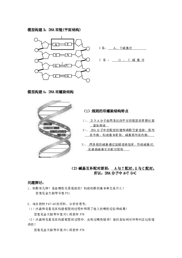 新人教版高中必修2生物第二节《DNA分子的结构》学案（含答案）