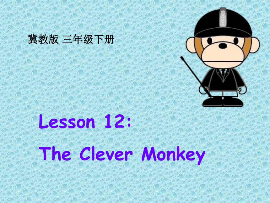 Unit 2 Animals at the zoo Lesson 12 课件