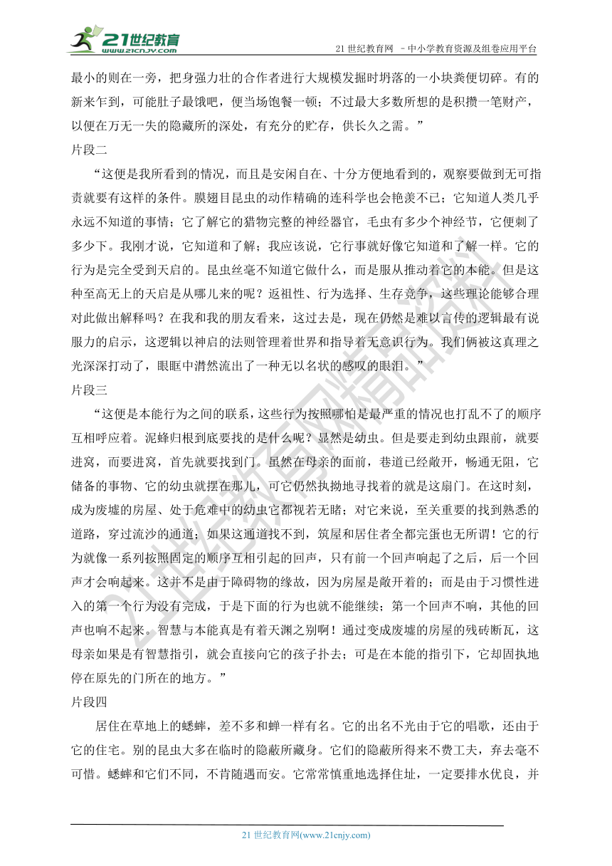 课件预览