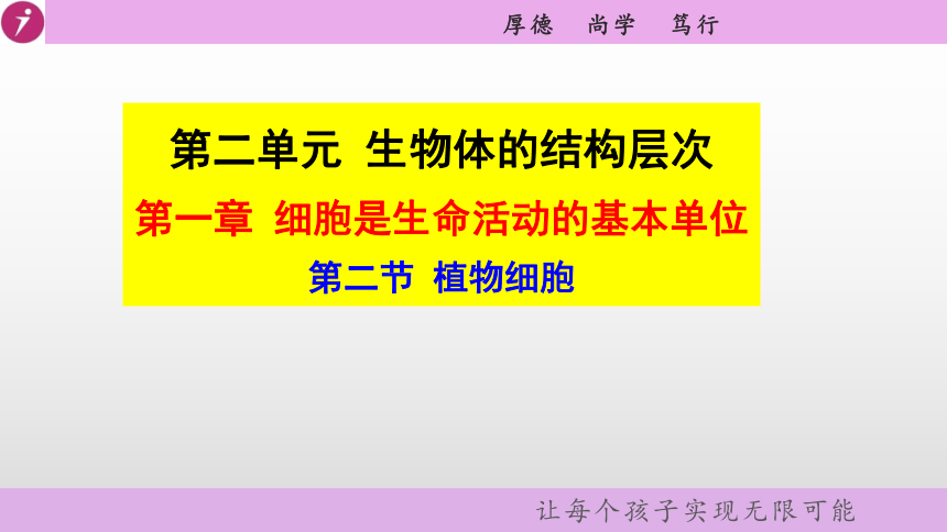 人教版七年级生物上册  第二单元第一章第二节 植物细胞 教学课件（38张PPT）